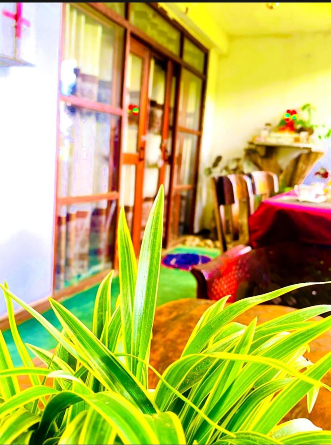 Dream Nest Daire Procida Dış mekan fotoğraf